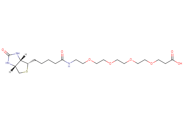 Biotin-PEG4-acid