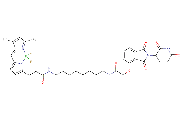 BODIPY FL Thalidomide